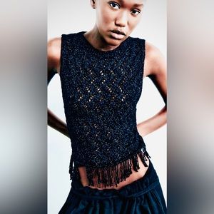 Zara fringed metallic shimmering open knit top
